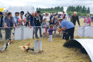 La mini-ferme a attiré les petits comme les grands