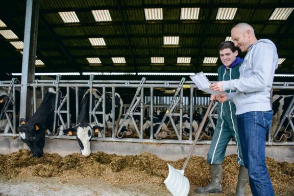 Discussions et échanges autour de la ration des vaches laitières entre Clément Louis, apprenti au CFA de Caulnes, et Ollivier Pian, éleveur et maître d’apprentissage à Yvignac-la-Tour (22).