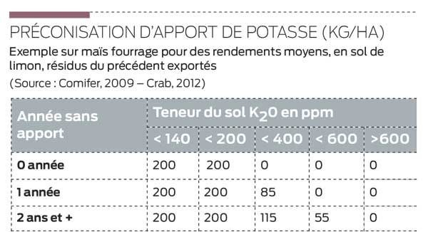 apport-potasse-mais
