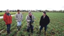 jean-raimbault-colza-desherbage-ecophyto-produit-phytosanitaire-binage-semis-parcelle-culture