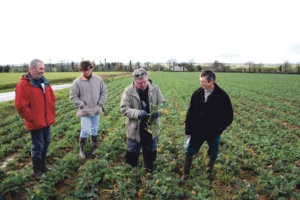 jean-raimbault-colza-desherbage-ecophyto-produit-phytosanitaire-binage-semis-parcelle-culture