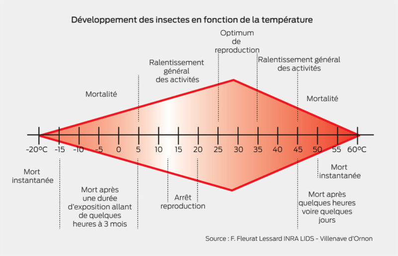 Développement des insectes en fonction de la température