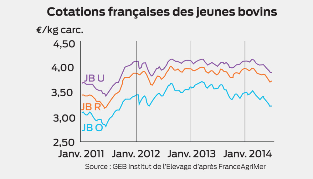 marche-europeen-cours-jeune-bovin - Illustration Vers un redressement des cours en jeunes bovins ?