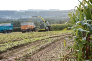 valoriser-mais-ensilage-2014