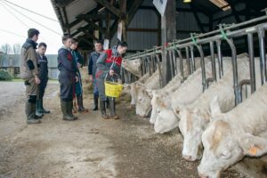 Chaque mardi matin, les 2de Productions animales bénéficient en petits groupes de l’expérience de Michel Jaglin, éleveur reconnu en race charolaise.