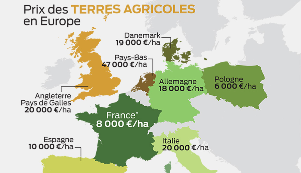 prix-terre-agricole - Illustration Inflation sur les terres