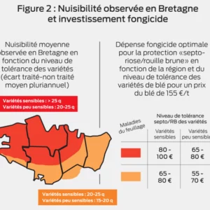 Nuisibilité observée en Bretagne et investissement fongicide
