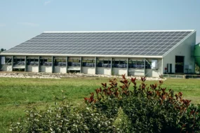 panneaux-photovoltaique-agricole