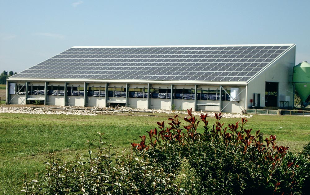 panneaux-photovoltaique-agricole
