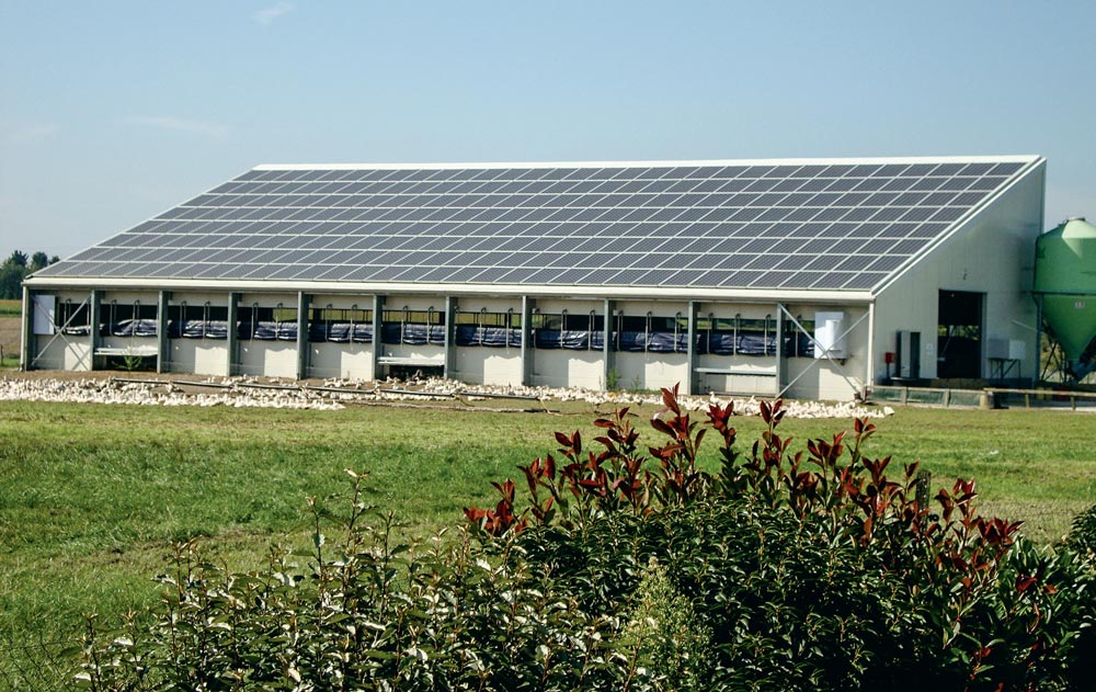 panneaux-photovoltaique-agricole - Illustration Penser à la maintenance en photovoltaïque
