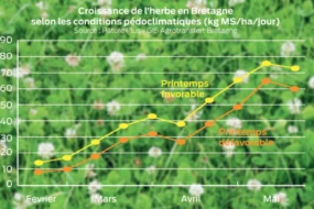 croissance-herbe-bretagne