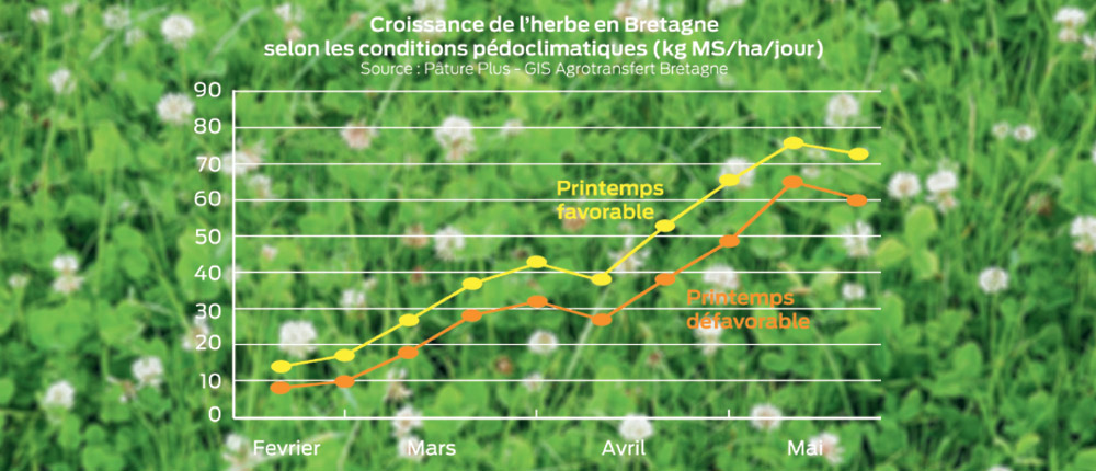 croissance-herbe-bretagne - Illustration L’herbe attend la pluie