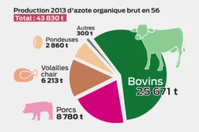 production-azote-resultat