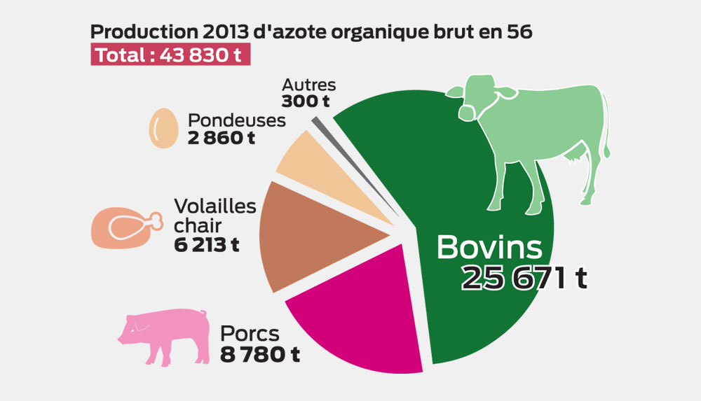 production-azote-resultat - Illustration Combien d’azote produit la ferme morbihannaise ?