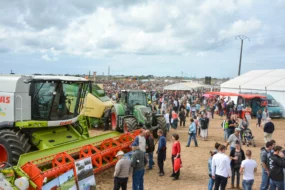 agrifete-2015
