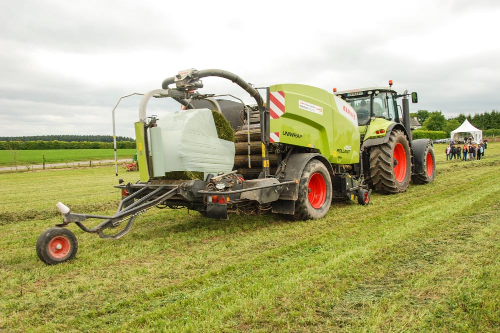 Photo of Laisser le moins possible de feuilles au champ de légumes