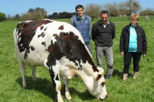 concours-national-triskalia-maxime-gerard-renee-lefeuvre