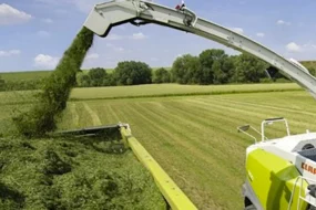 ensilage-herbe