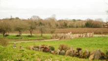 nevez-finistere-pierre-granit