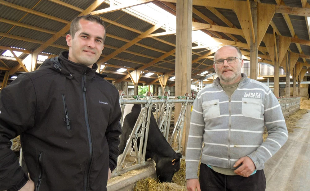 vache-triskalia-production-laitiere - Illustration Le tarissement, déterminant pour la production