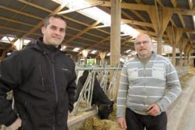 vache-triskalia-production-laitiere