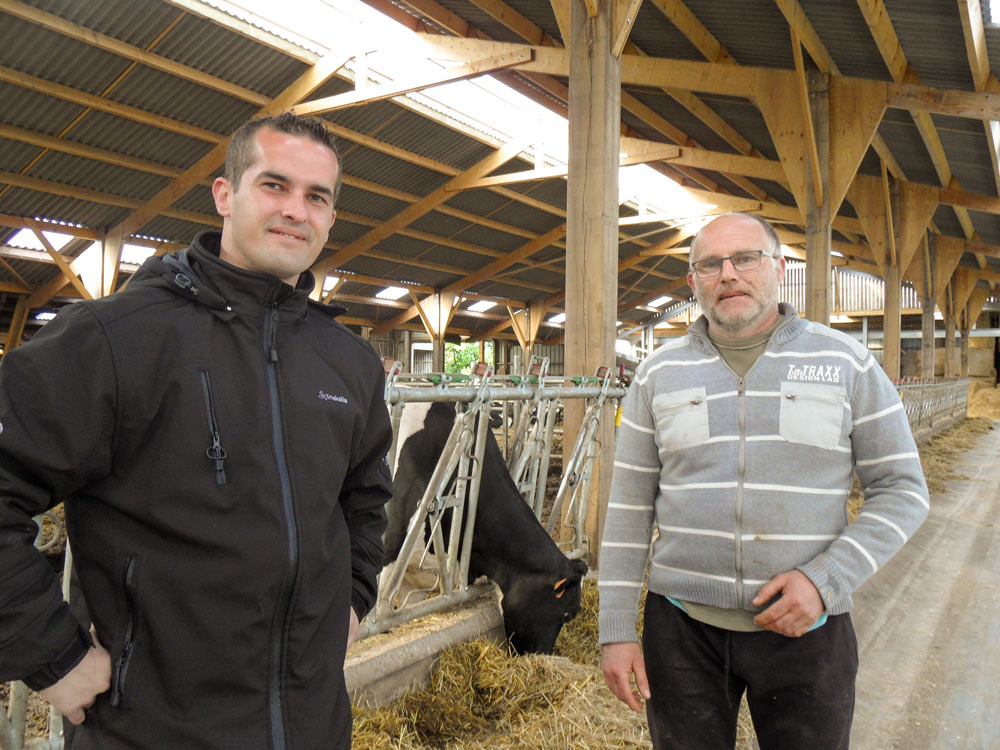 vache-triskalia-production-laitiere