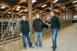 De gauche à droite : Patrick Sauvée, son fils Christophe, et son frère Didier, dans leur récente stabulation.