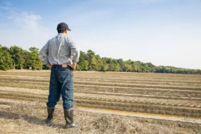 agriculteur-celibat