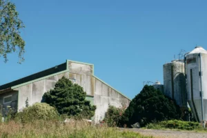 Les plus gros consommateurs d’énergie directe (fioul, électricité, gaz, bois) de l’agriculture bretonne sont les bâtiments d’élevage (39 %), les serres (33 %) et les cultures (28 %).