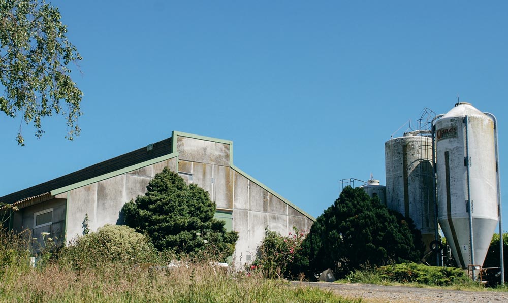 Les plus gros consommateurs d’énergie directe (fioul, électricité, gaz, bois) de l’agriculture bretonne sont les bâtiments d’élevage (39 %), les serres (33 %) et les cultures (28 %). - Illustration La Bretagne agricole veut juguler sa consommation d’énergie