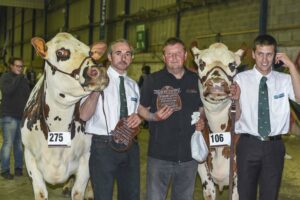 bretagne-dacodac-prix-honneur-vaches-gestation