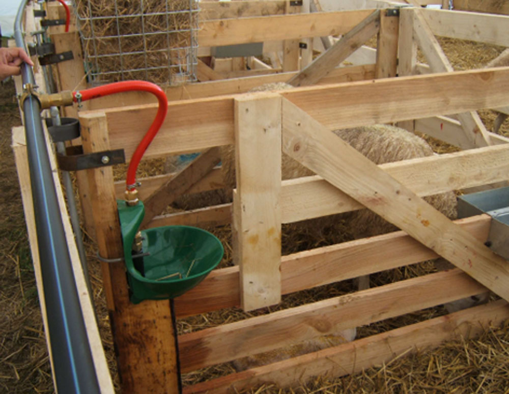 cases-agnelage-abreuvoirs - Illustration Des cases d’agnelage avec abreuvoirs 