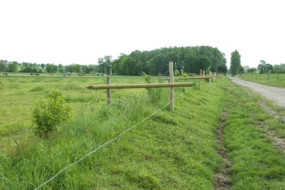 clotures-chemin-vaches