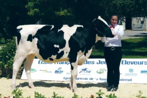 concours-prim-holstein