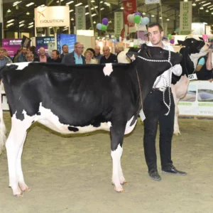 concours-prim-holstein-terralies-2015