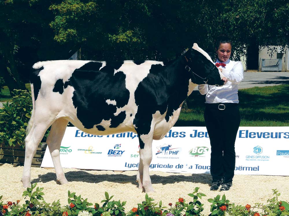 concours-prim-holstein - Illustration À l’école des concours Prim’holstein