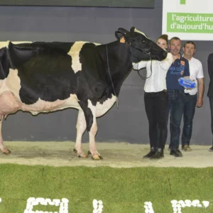 concours-terralies-prim-holstein-2015