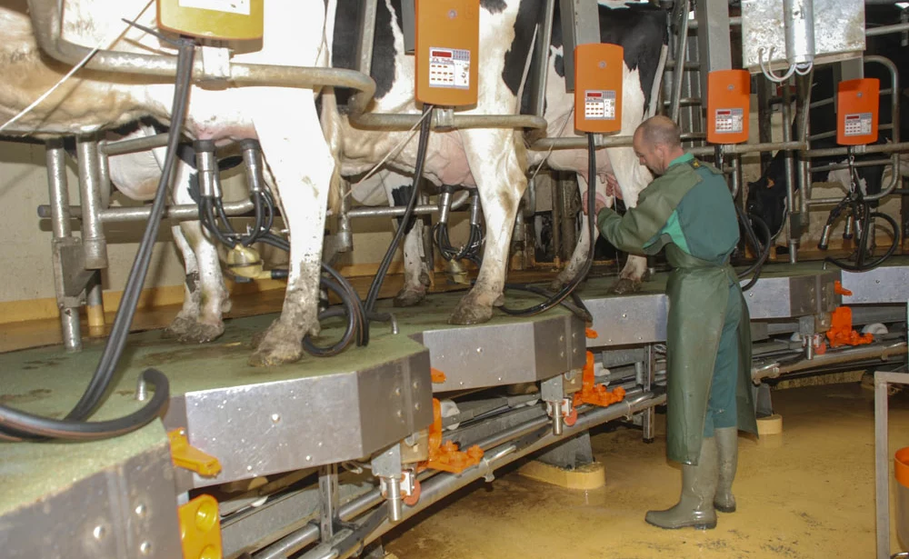 exploitation-laitiere - Illustration La main-d’œuvre familiale sous-estimée en élevage de lait
