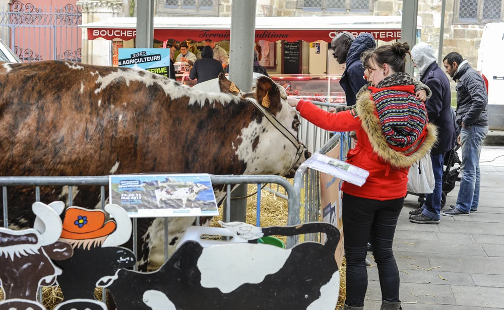 ferme-en-ville-saint-brieuc - Illustration Plus de 3 000 personnes  à Ferme en ville