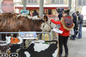 ferme-en-ville-saint-brieuc