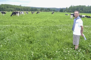 herbe-ensilage-vincent-couvert-montfort-sur-meu