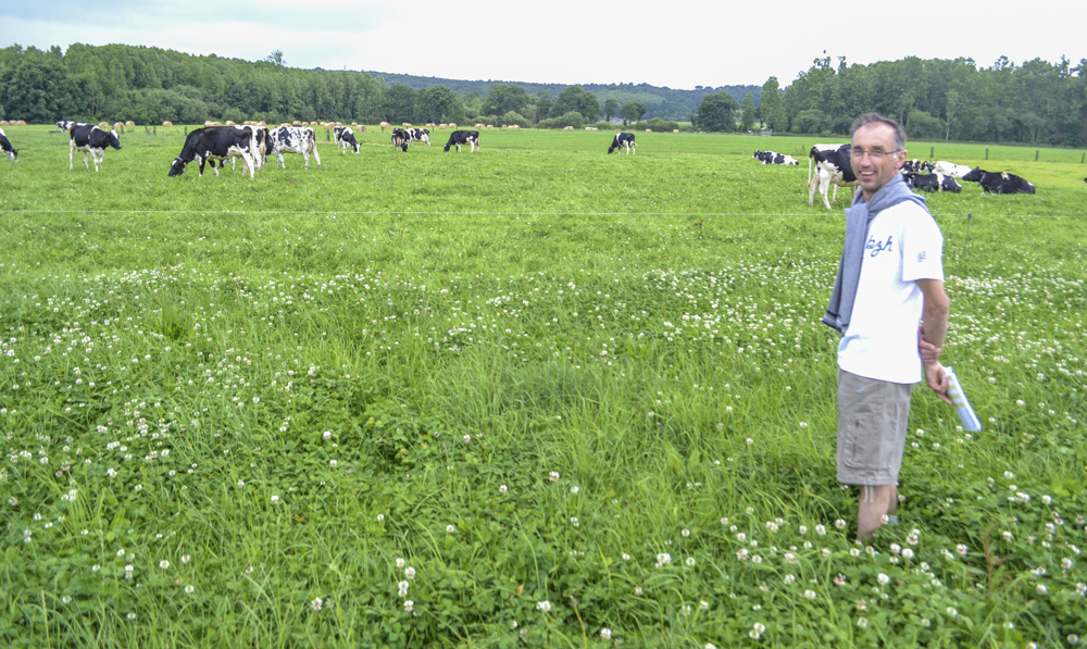 herbe-ensilage-vincent-couvert-montfort-sur-meu - Illustration Bien anticiper l’été  en fin de pleine pousse