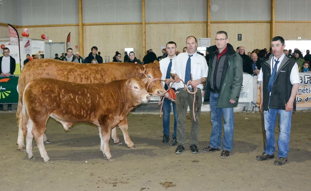 C’est une vache suitée en provenance de l’élevage d’Éric Scoul, de Gourin (56), qui a été choisie par le juge. - Illustration La championne est une Friponne
