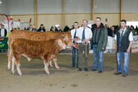 C’est une vache suitée en provenance de l’élevage d’Éric Scoul, de Gourin (56), qui a été choisie par le juge.