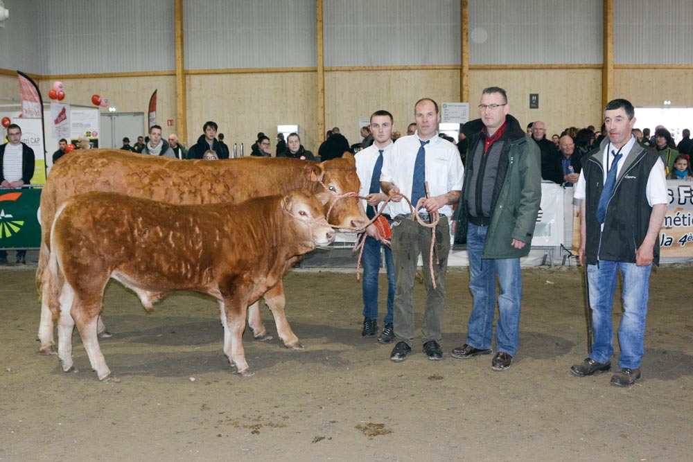 C’est une vache suitée en provenance de l’élevage d’Éric Scoul, de Gourin (56), qui a été choisie par le juge.