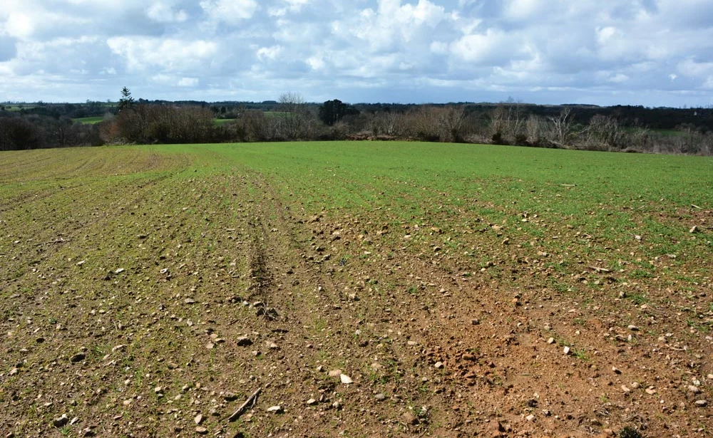  - Illustration Agronomie : « Je suis responsable de l’état de mon sol »