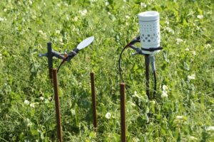 parcelle-capteurs-maladie-pois