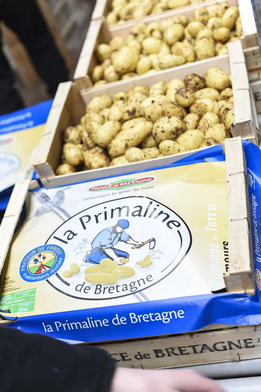 pomme-de-terre-paimpol-primeur-primabreizh - Illustration Pomme de terre : La Primabreizh débarque