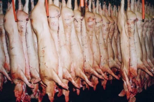 porc-abattoir-carcasse