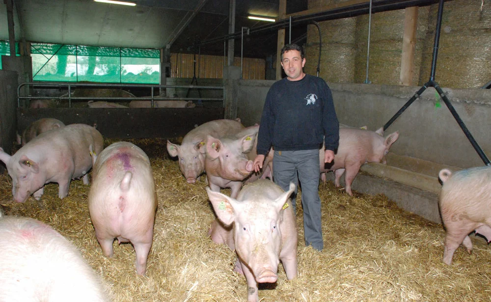 porc-bertrand-euzen - Illustration Les bénéfices de l’échange à la ferme